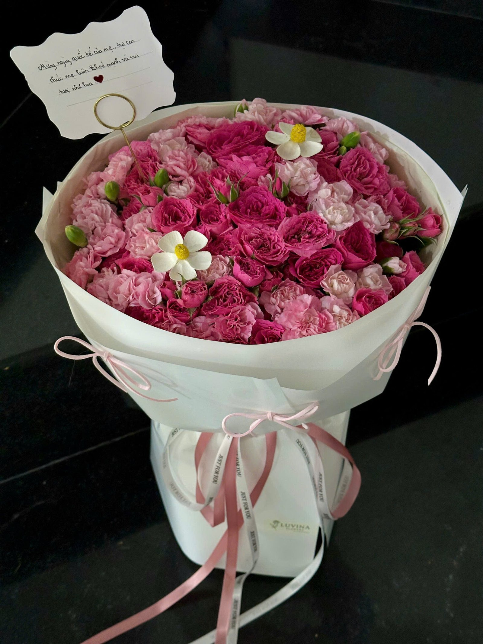 Sophia mix phăng hồng chùm - 1019 - Ảnh 2
