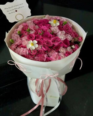 Sophia mix phăng hồng chùm - 1019