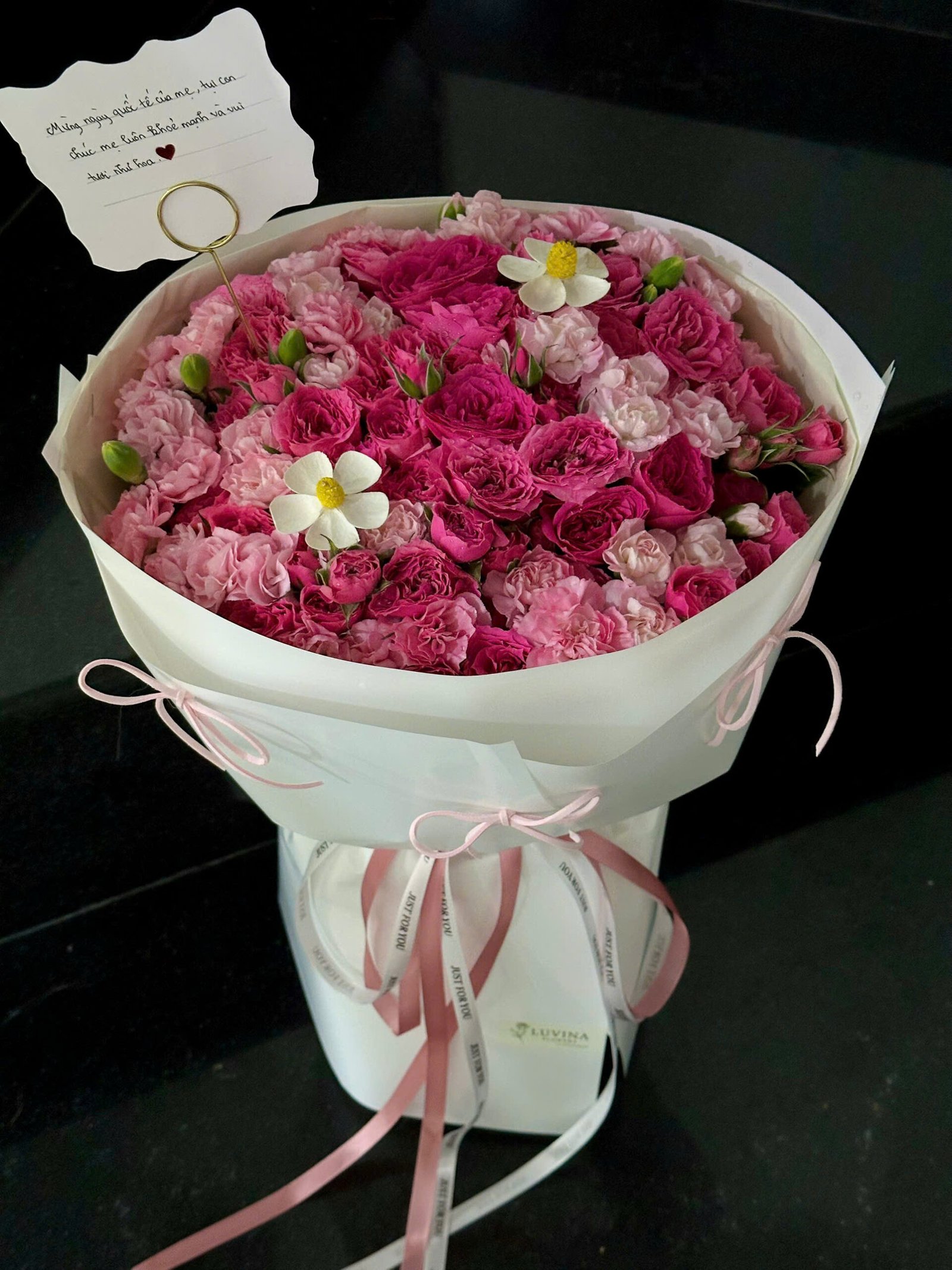 Sophia mix phăng hồng chùm - 1019