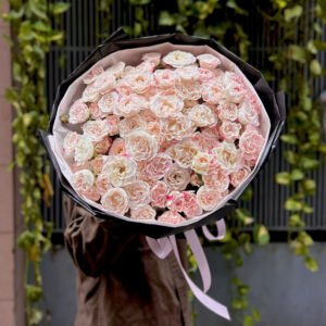 Hồng chiết xạ