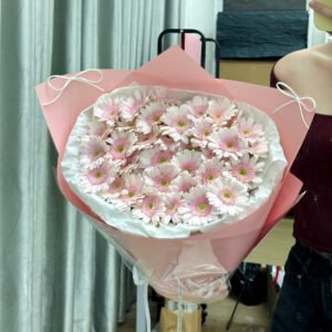 Hoa Đồng Tiền 35-40b - Anh 1 - Tiem Hoa Luvina