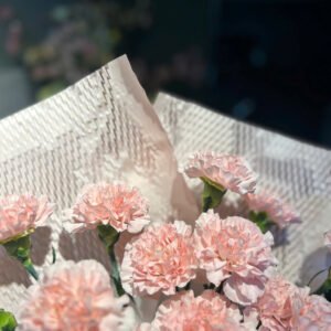 Hoa Phăng Hồng Size Lớn - Tiem Hoa Luvina