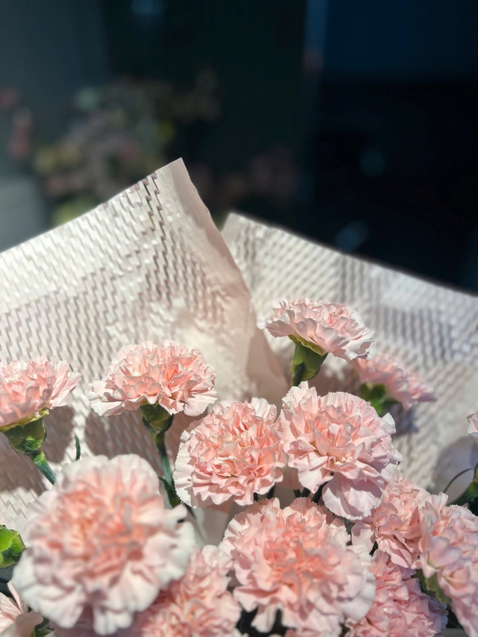 z7623660861625_e52a584b4dfb31769addb55d2fe5dd78 Hoa Phăng Hồng Size Lớn - Tiem Hoa Luvina