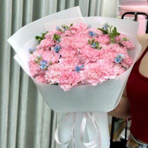 Phăng Hồng Mix Sao Xanh Nhiều Hoa - Tiem Hoa Luvina