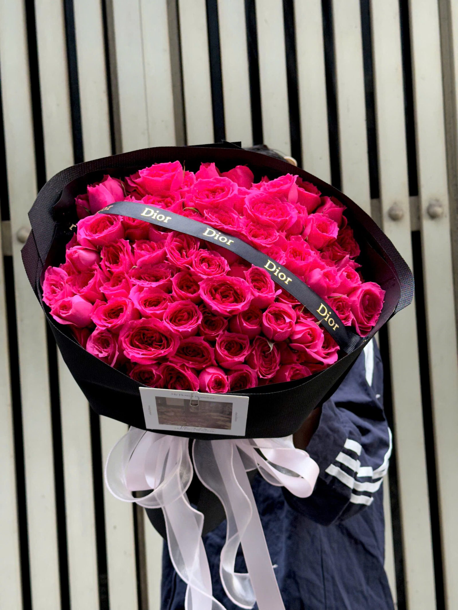 z7714581942748_16438c1400e5bc909d83ab5f788f7e6e Sophia Size Vừa Mẫu 2 - Anh 1 - Tiem Hoa Luvina