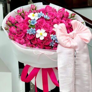 Sophia mix sao xanh nhiều hoa - Tiem Hoa Luvina