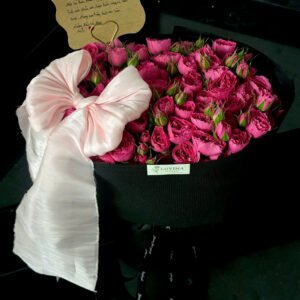 Sophia Size Vừa Nơ To - Anh 2 - Tiem Hoa Luvina