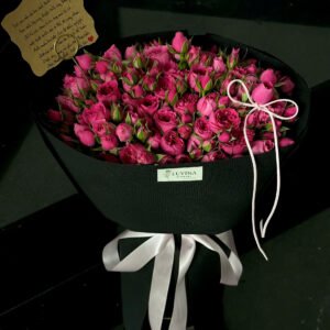 Sophia size vừa - Anh 2 - Tiem Hoa Luvina
