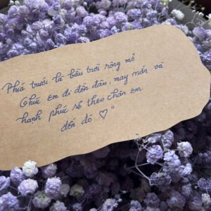 Baby xịt tím - Anh 1 - Tiem Hoa Luvina