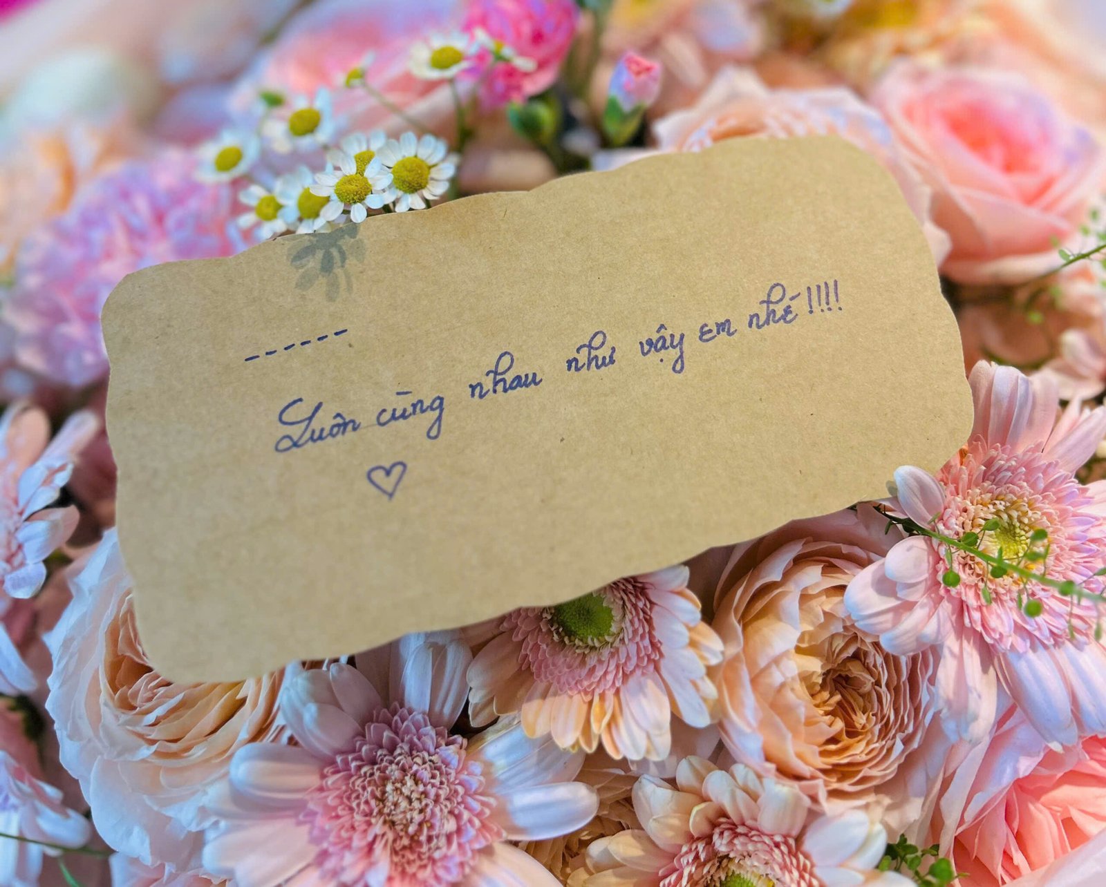z7870603930915_c76c9b24acd49a65020976ed6e892955 Tone Hồng Cam Mix Size Vừa - Anh 2 - Tiem Hoa Luvina