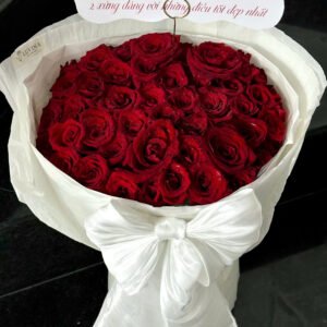 Đỏ Ecuador Nổi Bật Thu Hút - Tiem Hoa Luvina